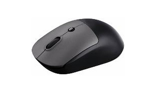 Mouse 2E MF218 Silent, WL/BT, black-grey
