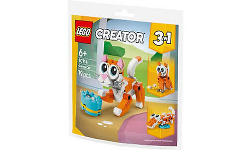 LEGO Constructor recruitment Creator Orange cat