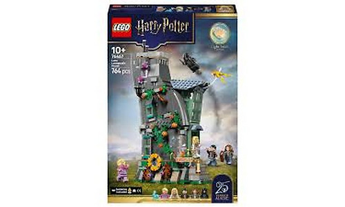 LEGO Constructor Luna Lovegood's House V29