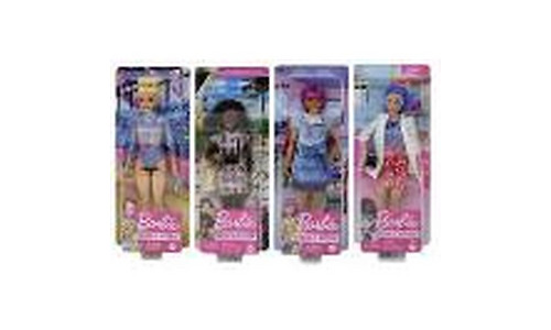 Mattel Barbie Career Doll Asst.