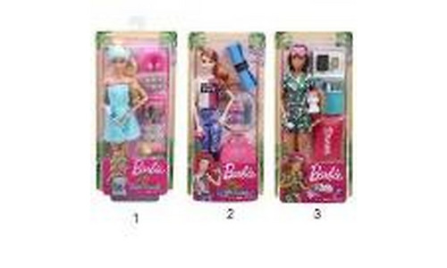 MATTEL Barbie Wellness Dolls Asst (3)