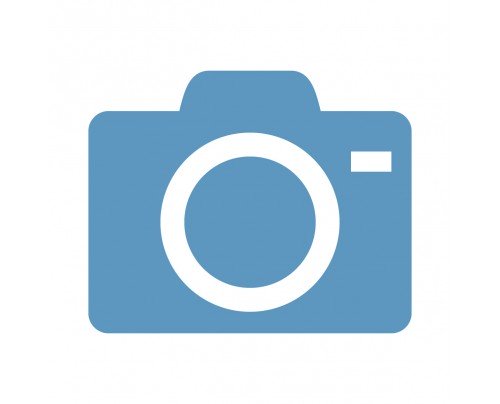 Digital Camera