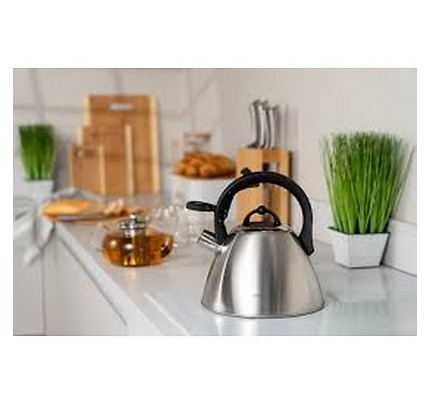 Ardesto Kettle Gemini, 2.5l, stainless steel